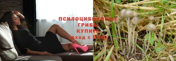 бошки Балахна