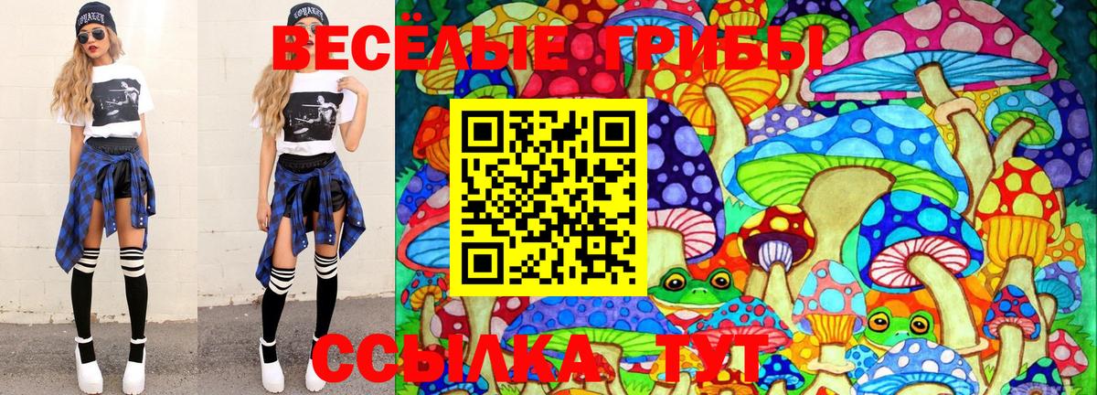 Горно-Алтайск  купить закладку  Вход с VPN  Галлюциногенные грибы ЛСД  Галлюциногенные грибы мицелий 