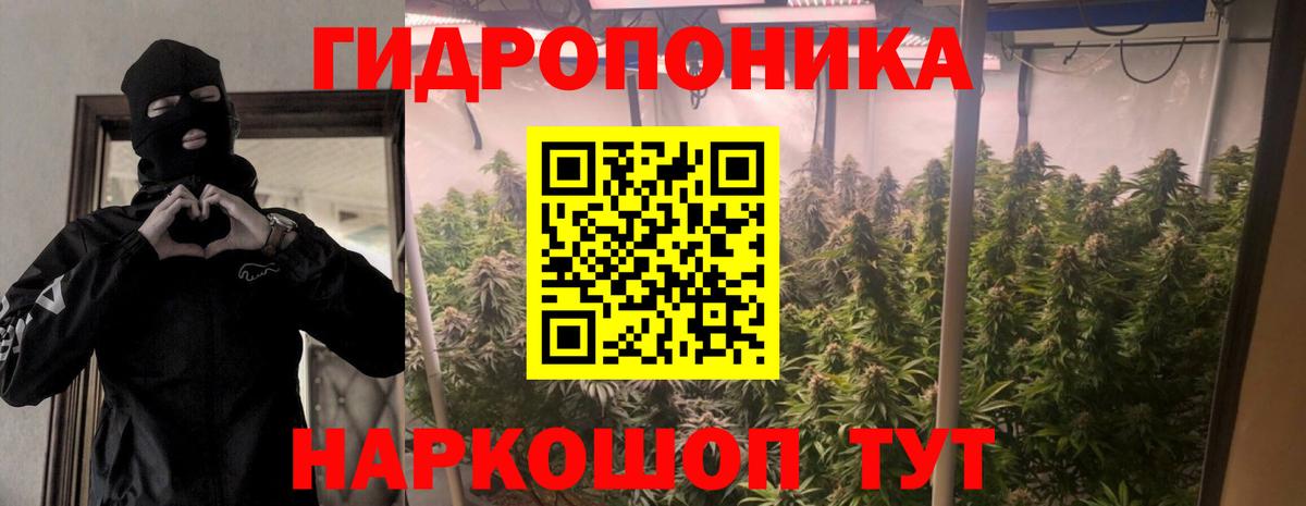 Бошки Шишки индика  Каннабис LSD WEED  Бошки Шишки план  Горно-Алтайск 